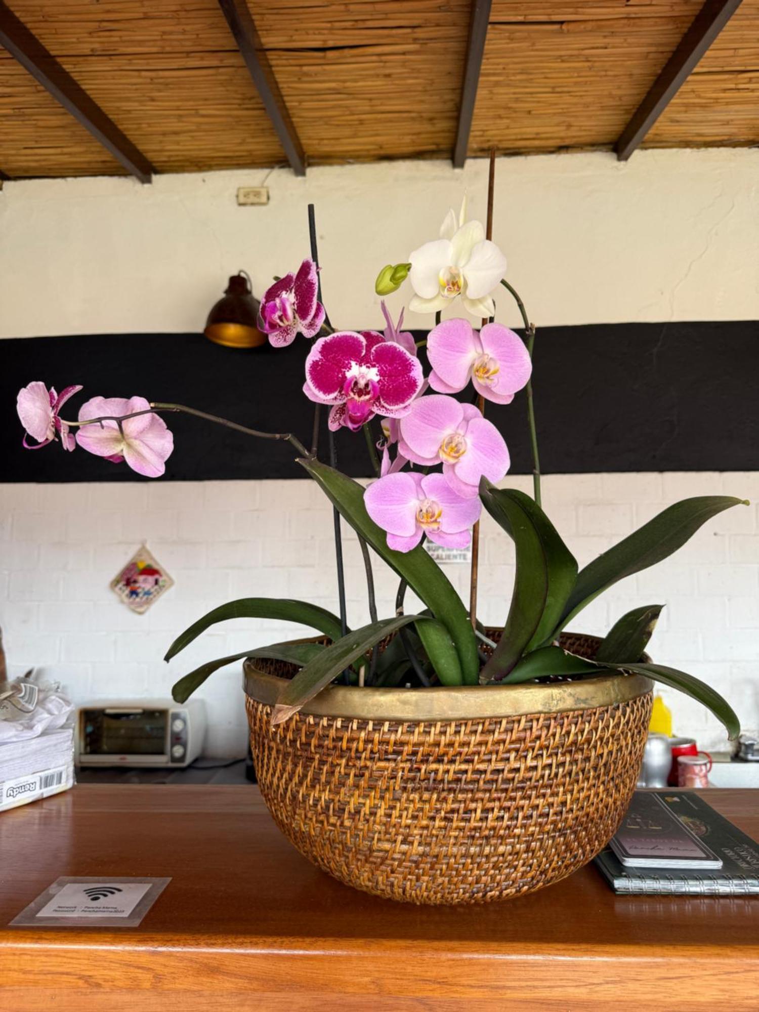 Pancha Mama Hotel Boutique Villa de Leyva Bagian luar foto